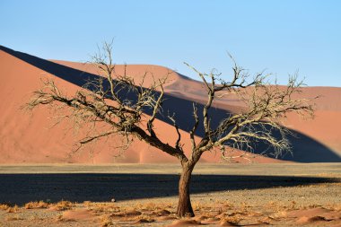 Sossusvlei, Namib Naukluft Milli Parkı, Namibya