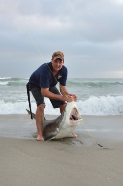 Namibya, shark balıkçılık