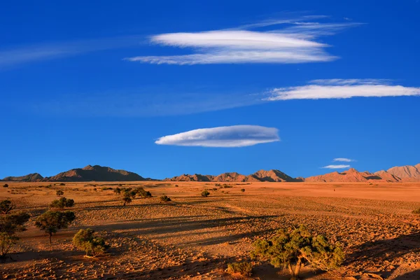 Sossusvlei, Parque Nacional de Namib Naukluft, Namibia — Foto de Stock