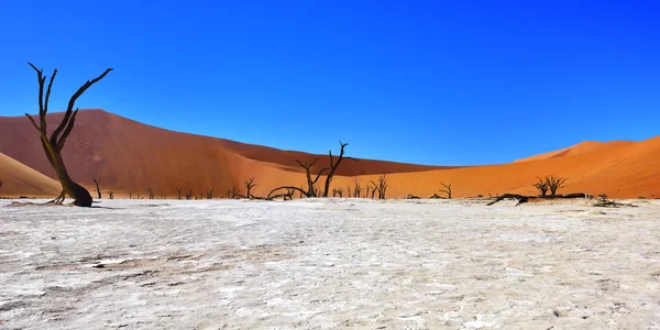 Namib-Naukluft Nationaal Park, Namibië, Afrika. — Stockfoto