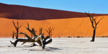 Namib-Naukluft Milli Parkı, Namibya, Afrika.