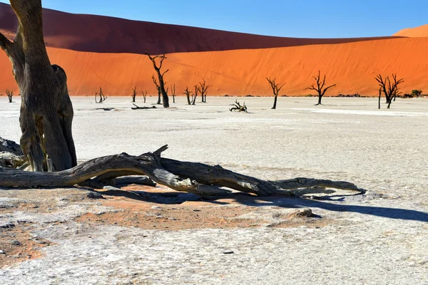 Namib-Naukluft Nationaal Park, Namibië, Afrika. — Stockfoto