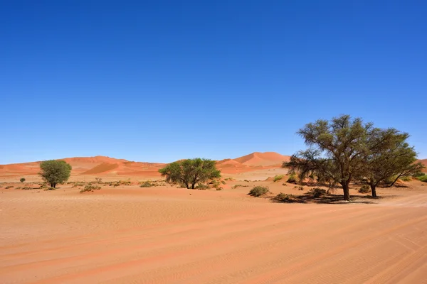 Sossusvlei, Namib Naukluft National Park, Namibia, Afrika — Stockfoto