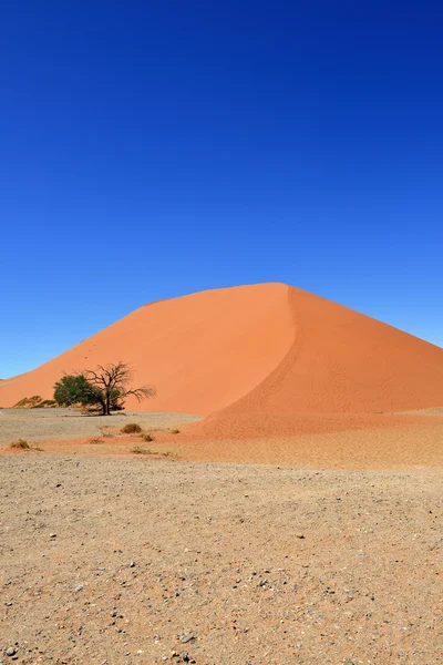 Sossusvlei Namibias Afrika — Stockfoto