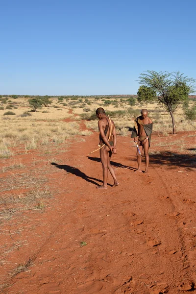 Křováci lovci v poušti Kalahari, Namibie — Stock fotografie