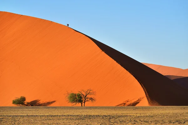 Дюна Sossusvlei, Намибия, 45 — стоковое фото
