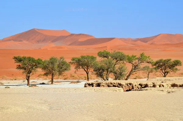 SOSSUSVLEI, Namib Naukluft Nationaal Park, Namibie — Stockfoto