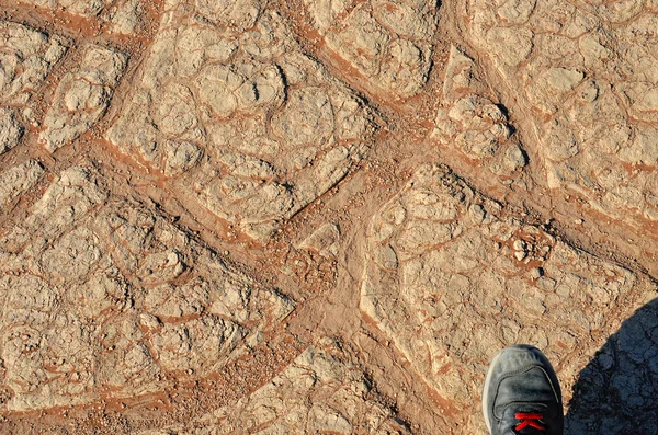 Cracked soil in desert — Stock Photo, Image