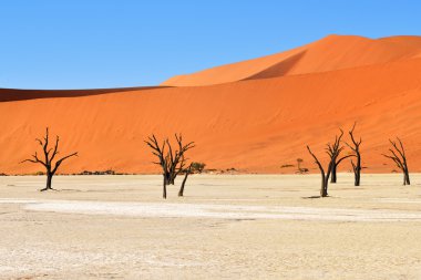 Deadvlei, Namib-Naukluft Milli Parkı, Namibya, Afrika