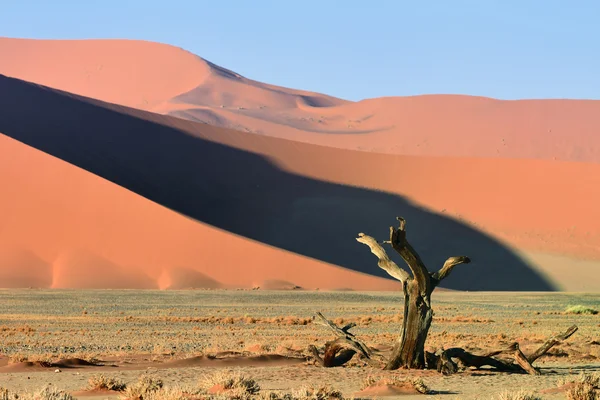 Sossusvlei, Namíb Naukluft nemzeti parkban, Namíbia — Stock Fotó