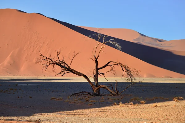 Sossusvlei, Namib Parc national du Naukluft, Namibie — Photo