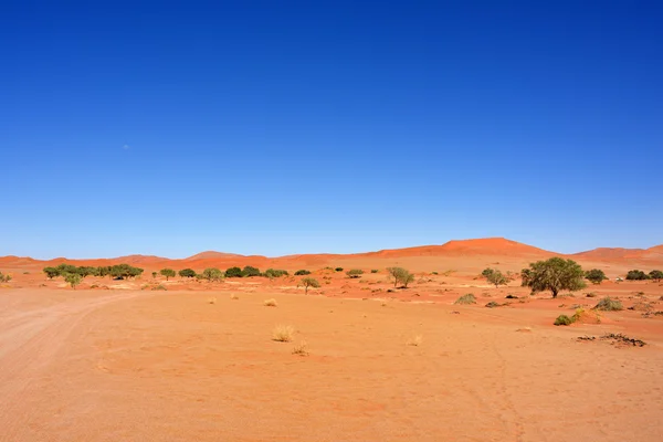 Namib-Naukluft Nationaal Park, Namibië, Afrika — Stockfoto