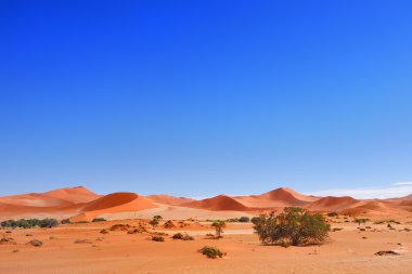 Namib-Naukluft Milli Parkı, Namibya, Afrika
