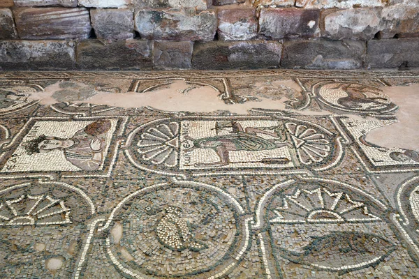 Mosaik in Petra — Stockfoto