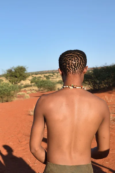 Bushman hunter in the Kalahari desert, Namíbia — Fotografia de Stock