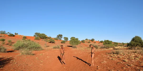 Bushmen avcılar Kalahari çölünde, Namibya — Stok fotoğraf