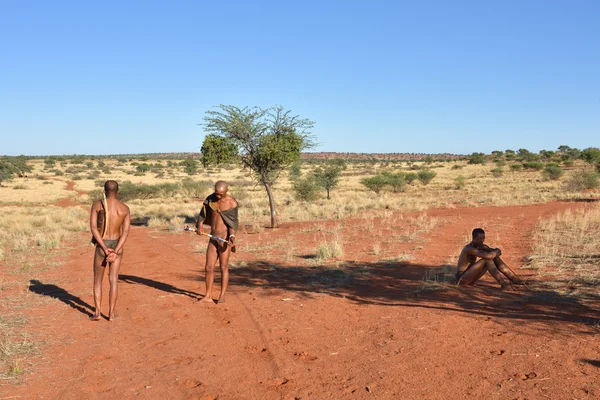 Cazadores bosquimanos en el desierto de Kalahari, Namibia — Foto de Stock