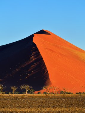 Sossusvlei, Namib Naukluft Milli Parkı, Namibya