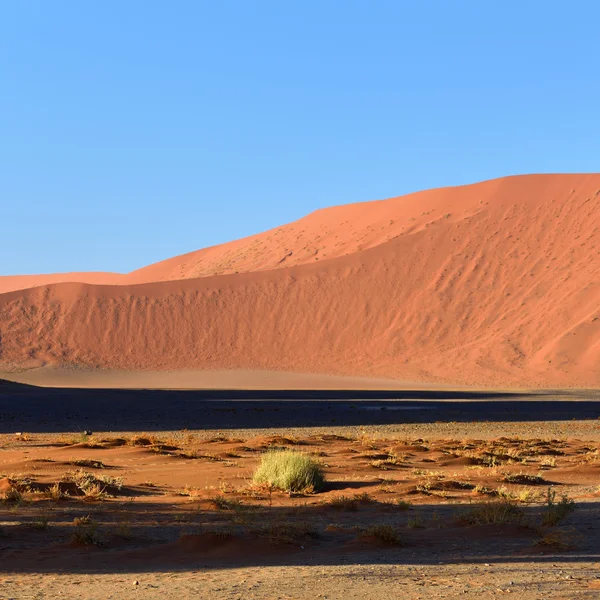 Sossusvlei, Namíb Naukluft nemzeti parkban, Namíbia — Stock Fotó