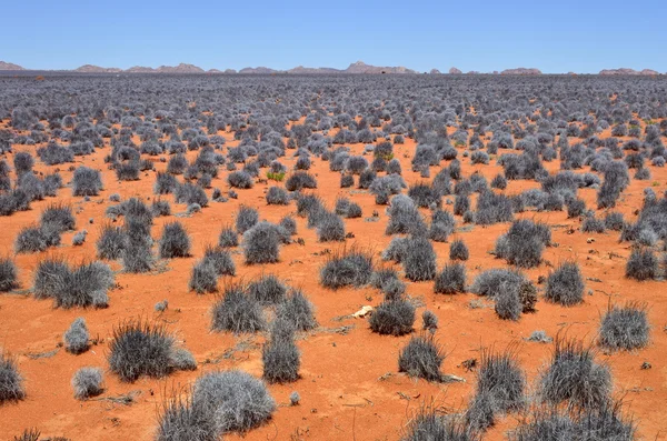 ナミビア砂漠の風景 — ストック写真