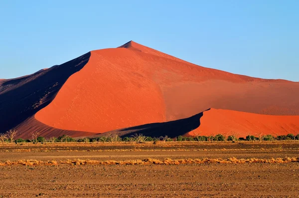 Sossusvlei, Namib Parc national du Naukluft, Namibie — Photo