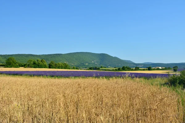 Provenza paesaggio rurale, Francia — Foto Stock