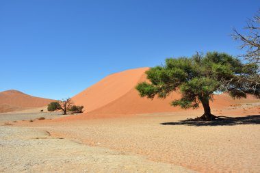 Sossusvlei Namibya Afrika