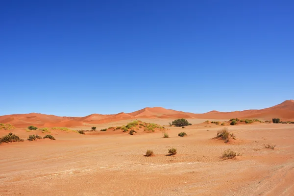 SOSSUSVLEI, Namib Naukluft Nationaal Park, Namibie — Stockfoto