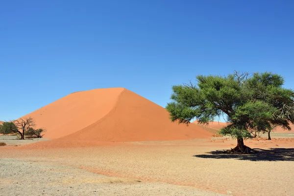 Sossusvlei Namibias Afrika — Stockfoto