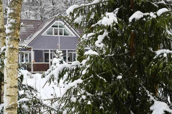 Bevroren Dennen Berken Landhuis Achtergrond Wintersneeuw Rusland Kleine Velddiepte — Stockfoto