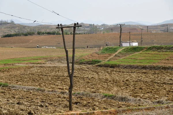 Landschaft Nordkorea Bepflügte Felder Und Stromleitung — Stockfoto