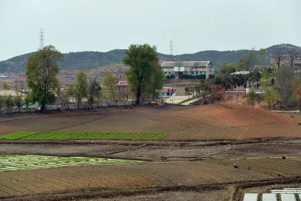 Coreia Norte Saia Pyongyang Abril 2019 Paisagem Campo Campos Aldeia — Fotografia de Stock