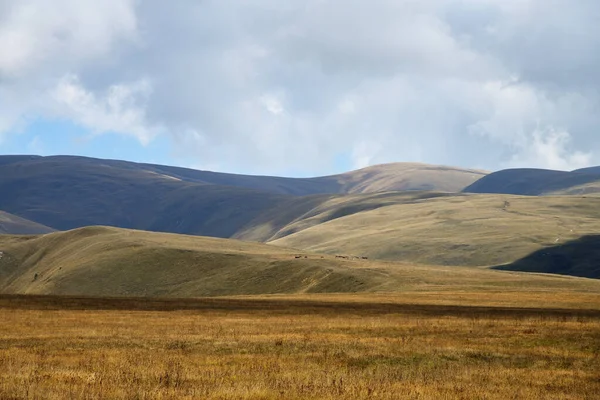 Rusya Çeçenistan Daki Kafkasya Alp Çayırı Dağ Manzarası Çeçen Cumhuriyeti — Stok fotoğraf