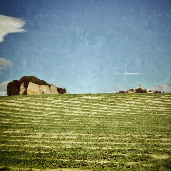 Provence rural landscape — Stock Photo, Image