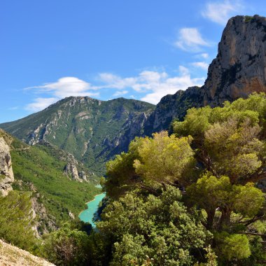 Verdon