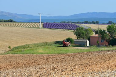 Provence kırsal manzara