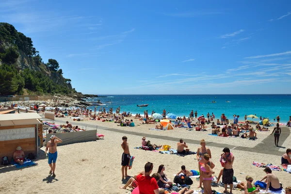Zwarte bessen, Côte d'Azur — Stockfoto