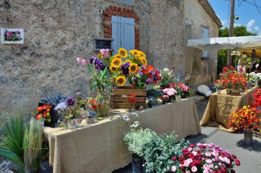 Provence, Fransa