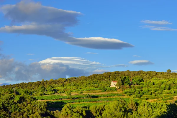 Provenza paisaje rural, Francia — Foto de Stock