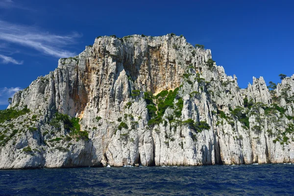 Cassis — Fotografia de Stock