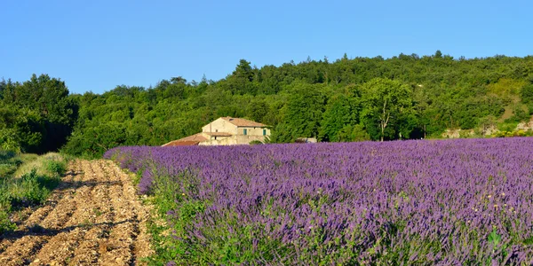 Provence landskapet — Stockfoto