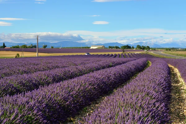 Provence kırsal manzara — Stok fotoğraf