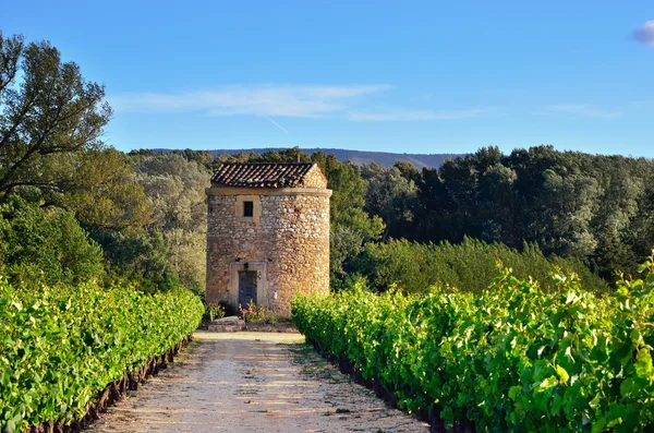 Terreni agricoli — Foto Stock