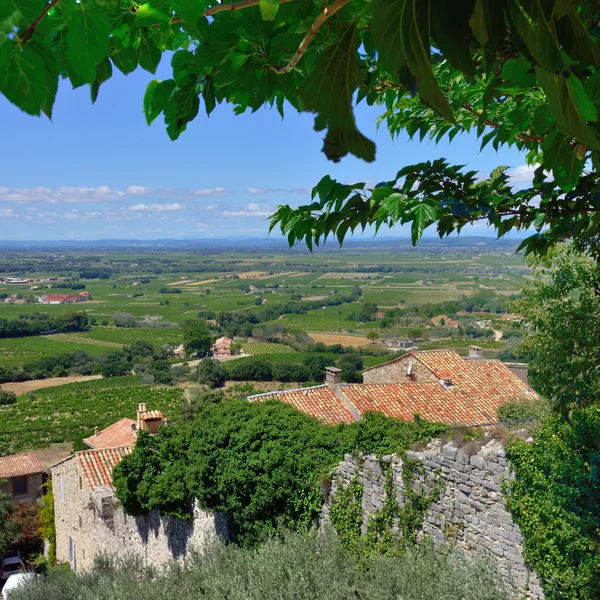 Paysage Provence — Photo