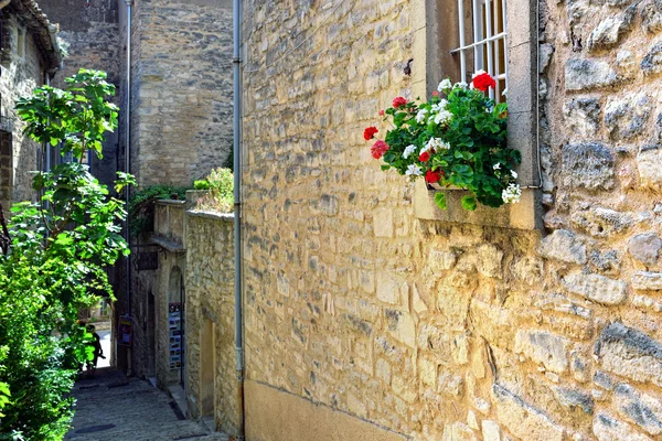 Provence — Stock fotografie