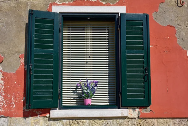 Fenster — Stockfoto