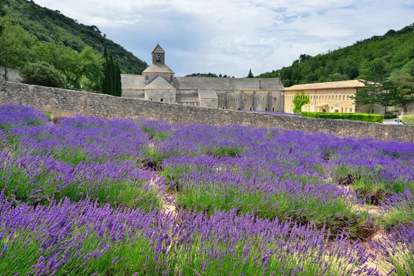 Abadía de Senanque — Foto de Stock