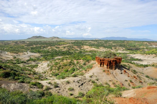 Garganta de Olduvai — Foto de Stock