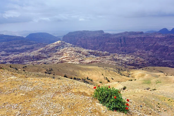 Jordanische Landschaft — Stockfoto