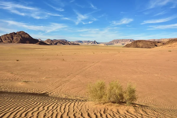 瓦迪鲁姆沙漠 — 图库照片